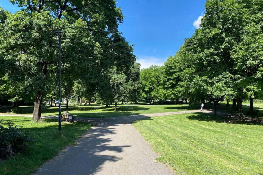 Suite Vogel - foto 26