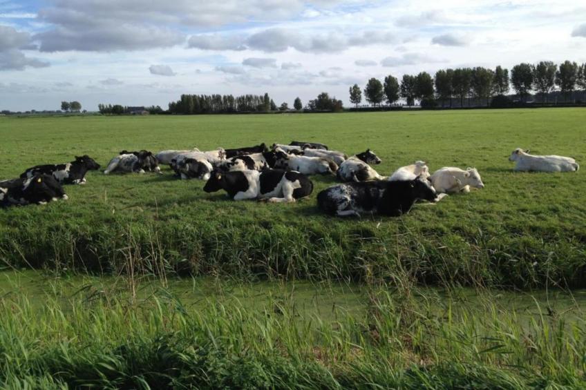 Standaard 323 - foto 25