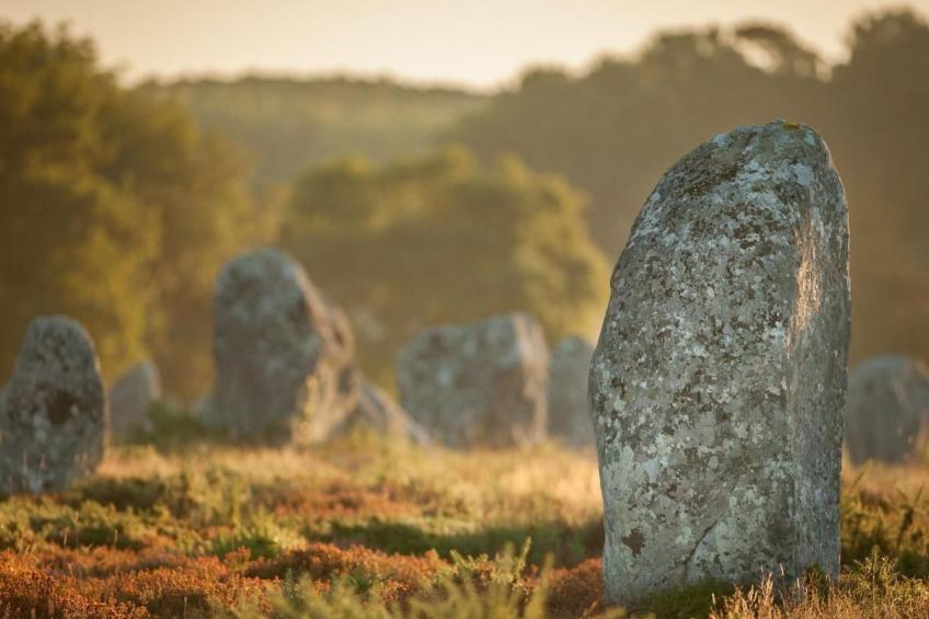 La Bergerie - foto 19