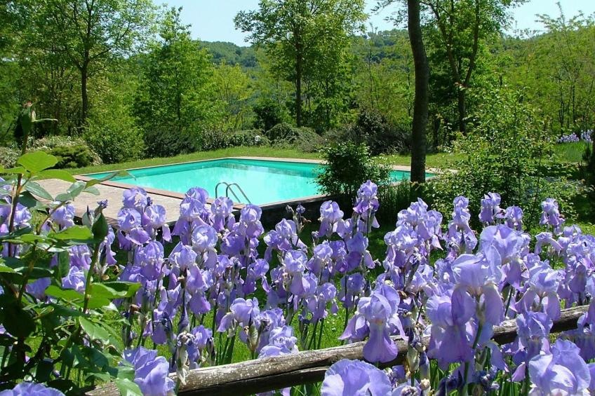 Komfortable Unterkunft in einem Schloss, Schwimmbad - foto 8
