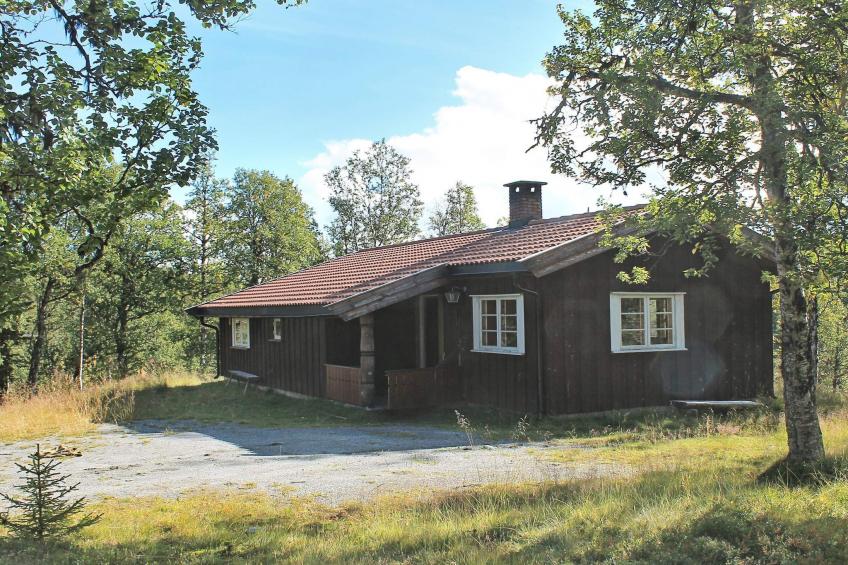 30017- FJELLSOL - foto 5