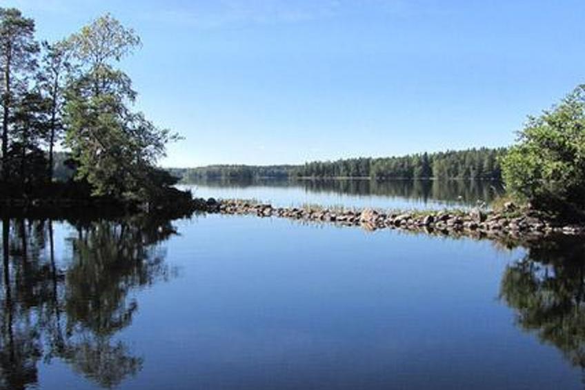 Kuikka - foto 8