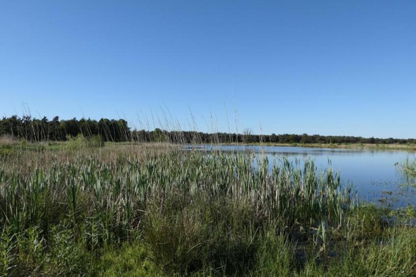 Recreatiepark Tolplas 17 - foto 26