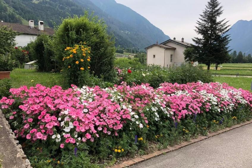 Wohnung mit Bergblick - foto 19