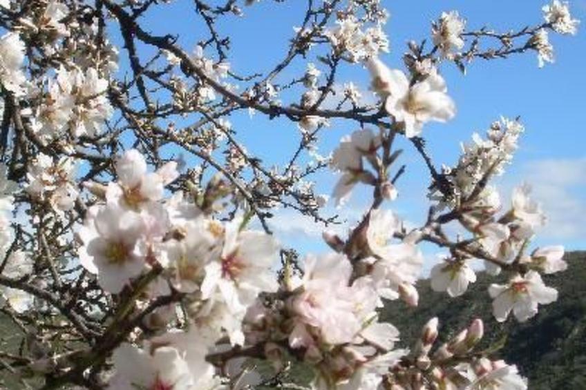 Das Upside Down House mit Whirlpool-Badewanne - foto 20