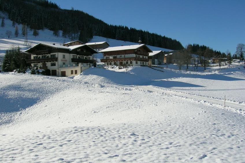 126935 - foto 3