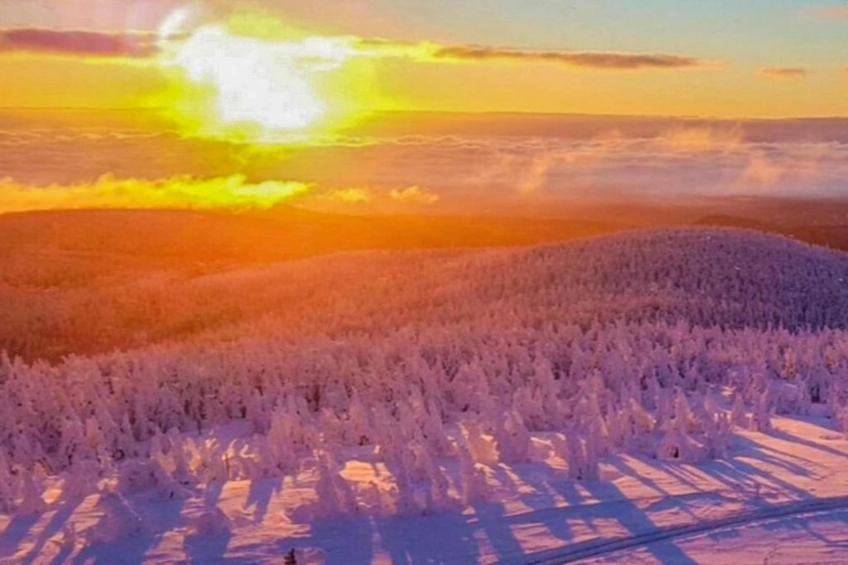 Holzhaus Andi - foto 36