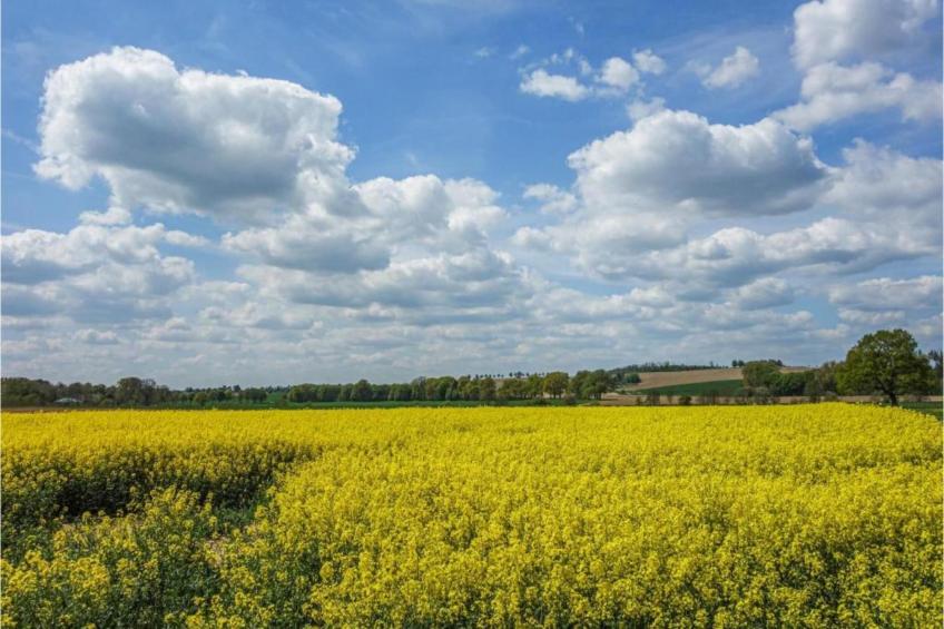 Feriendorf Natur pur - foto 22
