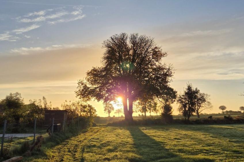 Wunderschöne Ferienwohnung mit Terrasse und Garten - foto 15