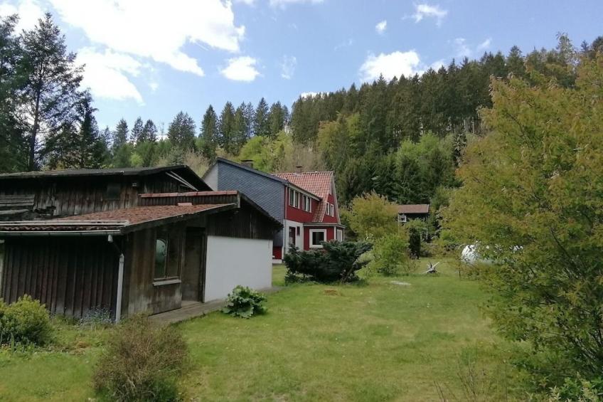 297941 - foto 5