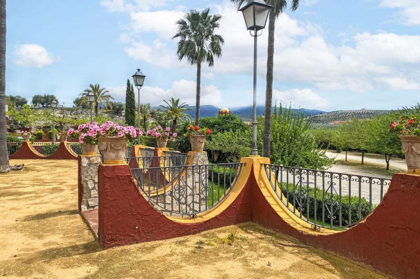 Dehesa del Colmenar - foto 17