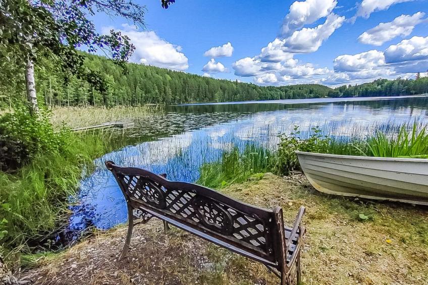 Villa ahomoisio - foto 27