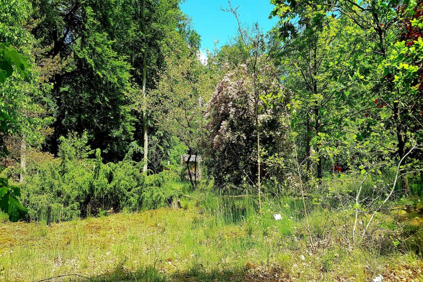 Hafendorf Junior Suite - foto 31