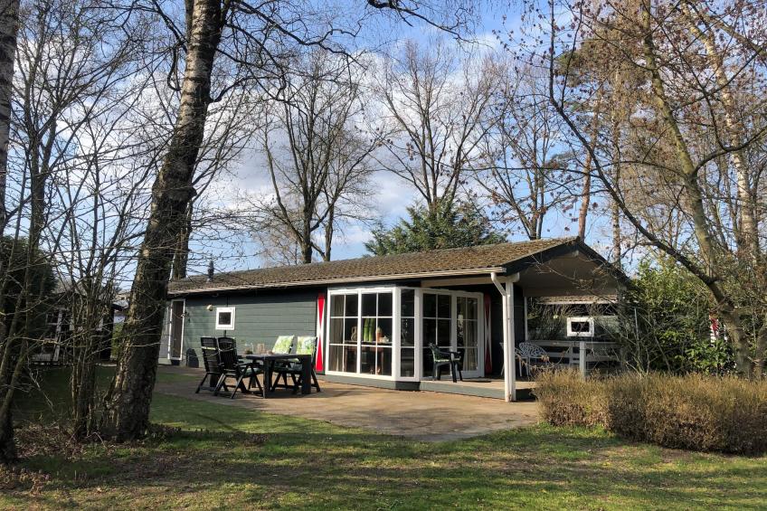 De Veluwse Eekhoorn - foto 25