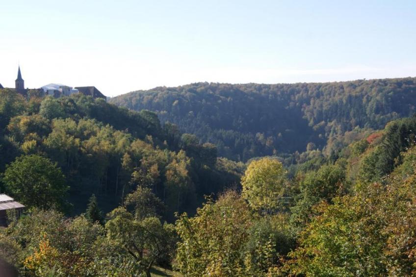 Chalet - LA HOUBE DABO - foto 36