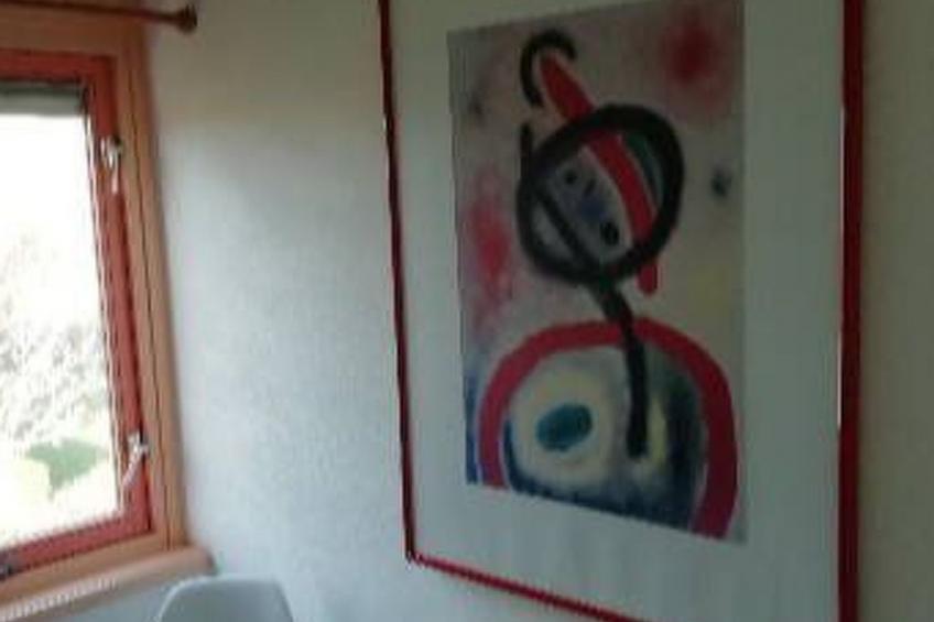 Einmalige, ruhige Ferienvilla im Grünen - foto 17