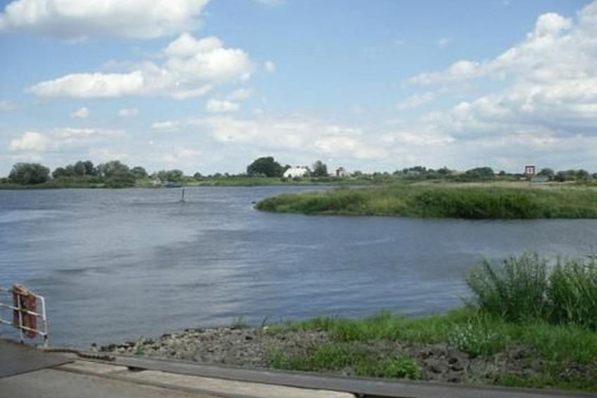 Elbe-Ilenpool -In Ruhe entspannen - foto 42