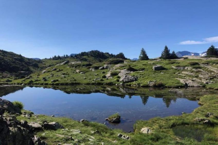 V du Bachat Asters E N°11 - 2P6 - foto 24