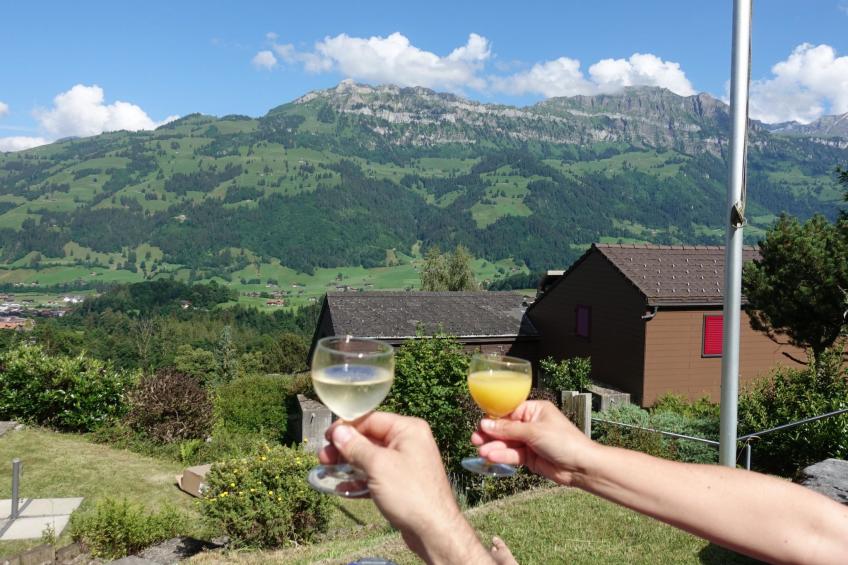 Bergperle Ferienhaus, Dusche, WC, Terrasse Ferienhaus, Dusche, WC, Terrasse - foto 9