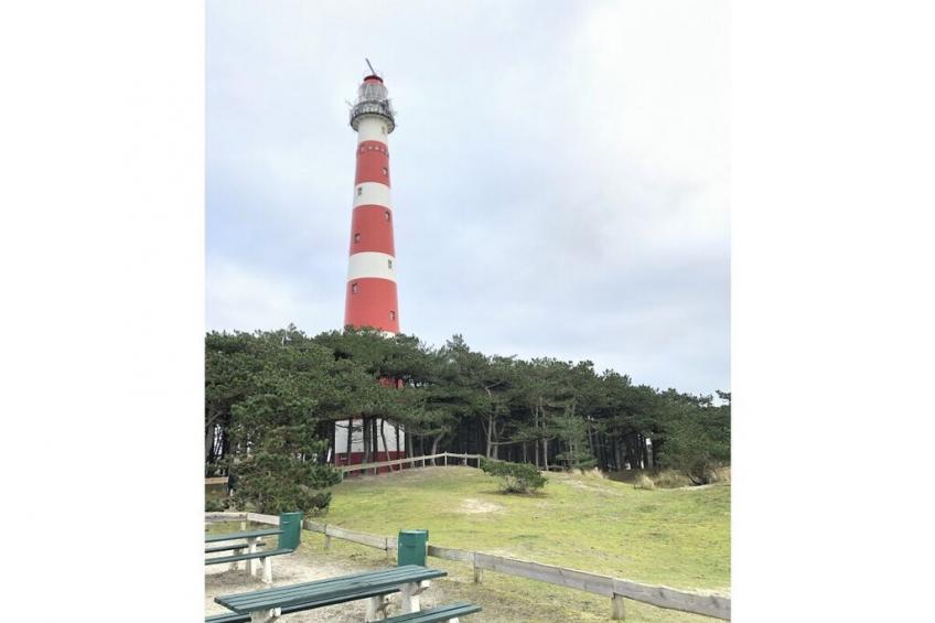 442955 - foto 19