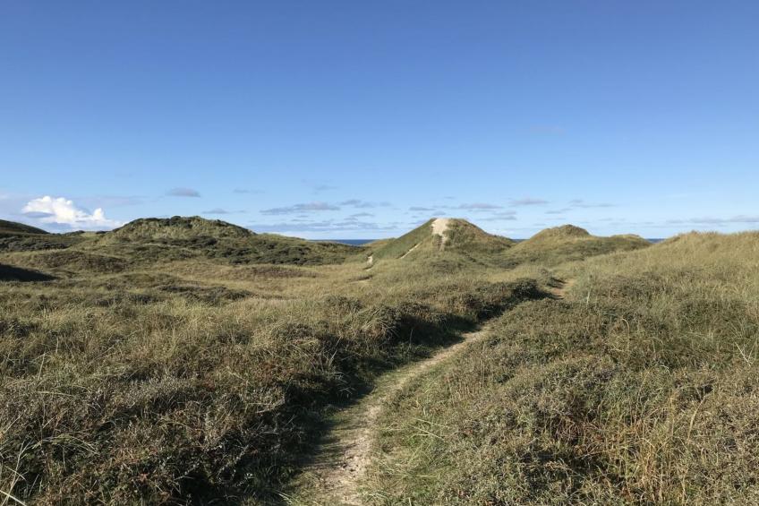"Finna" - 1km from the sea in NW Jutland - foto 28