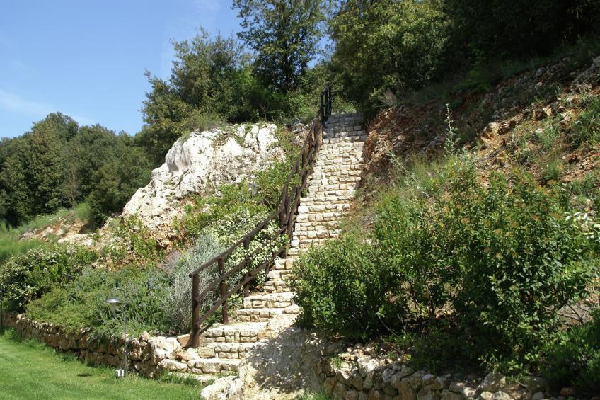 Il Bagolaro - foto 40