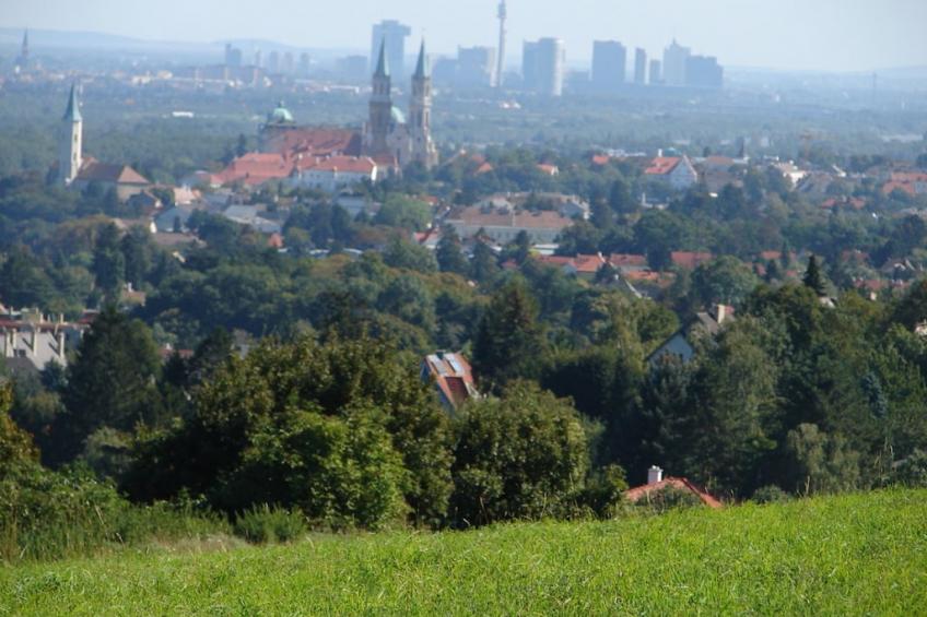 186813 - foto 11