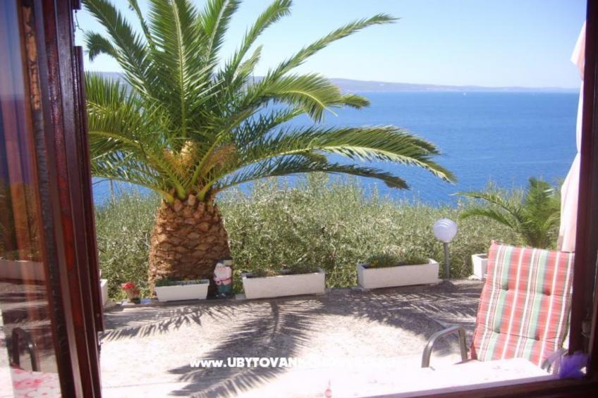 One-Bedroom Apartment (A3+1) - foto 16