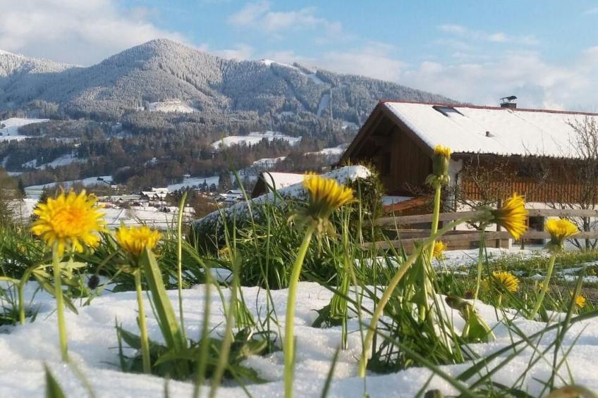 mit Blick auf das Wasser - foto 90