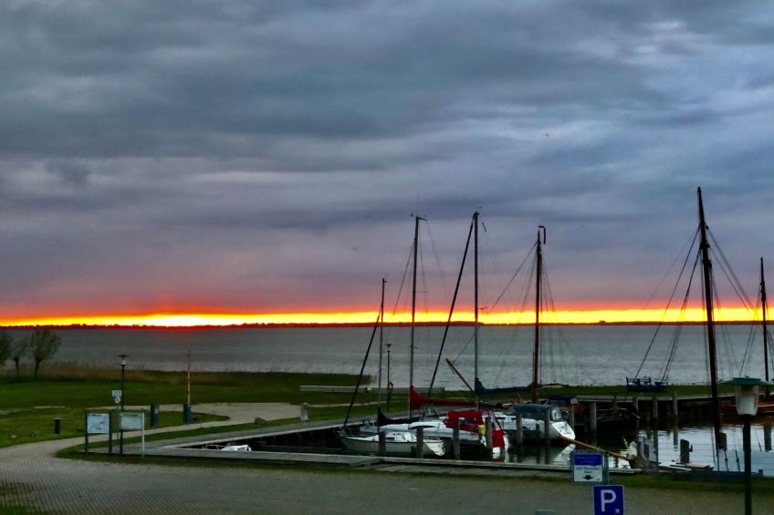 "Saaler Bodden" - foto 10