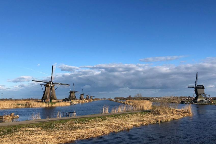 Nordseeblick - foto 41