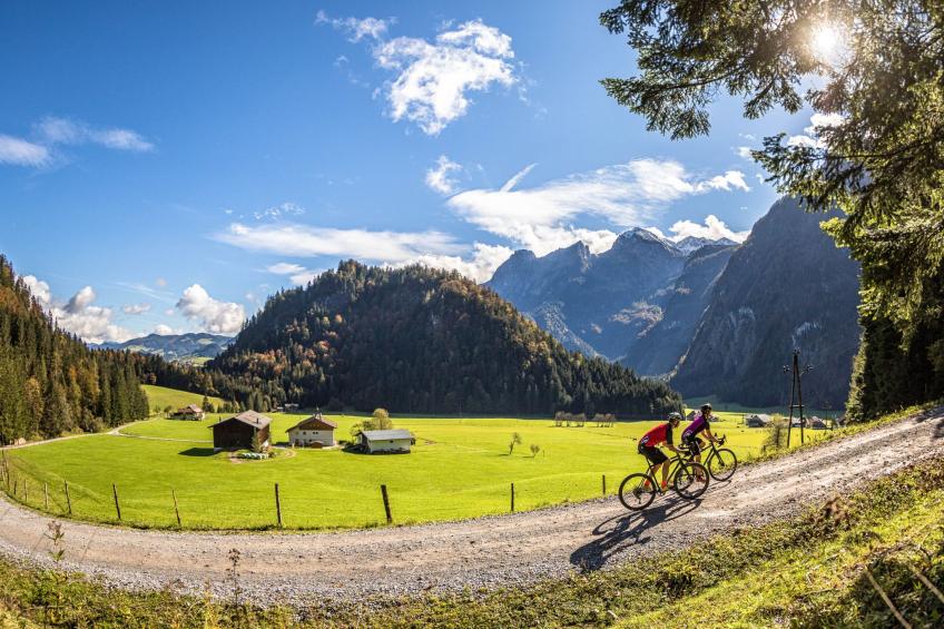 Appartement Bergkristall mit Gebirgsblick - foto 26