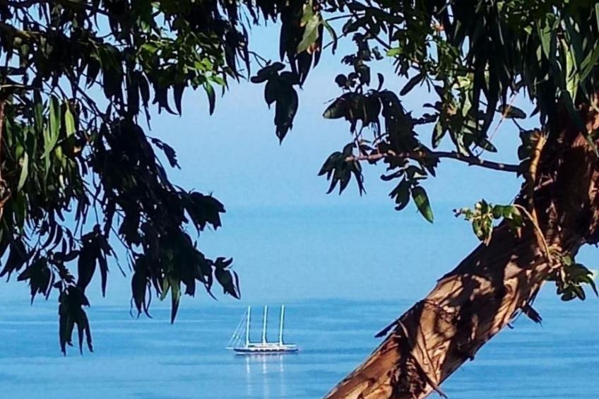 Villa Panorama Wohnung in privater Villa - foto 40