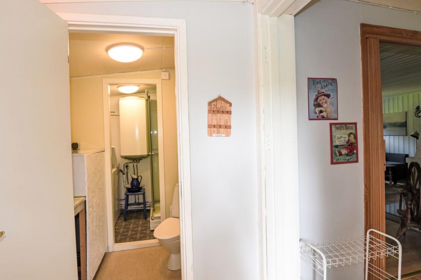 Liane Dalen - foto 13