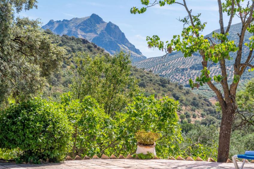 Cerro de la Cruz,charmantes Bauernhaus mit bester Aussicht,im Zentrum Andalusie