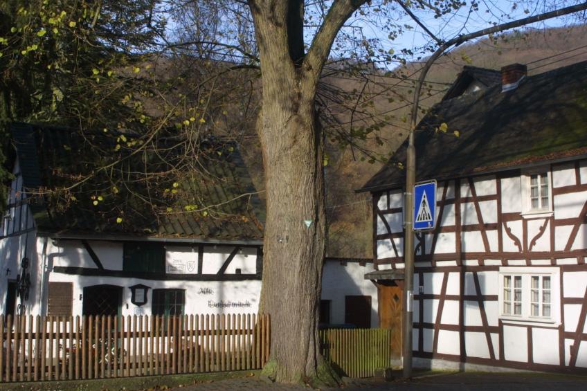 Chalet Wiedfluh in Waldbreitbach - foto 23