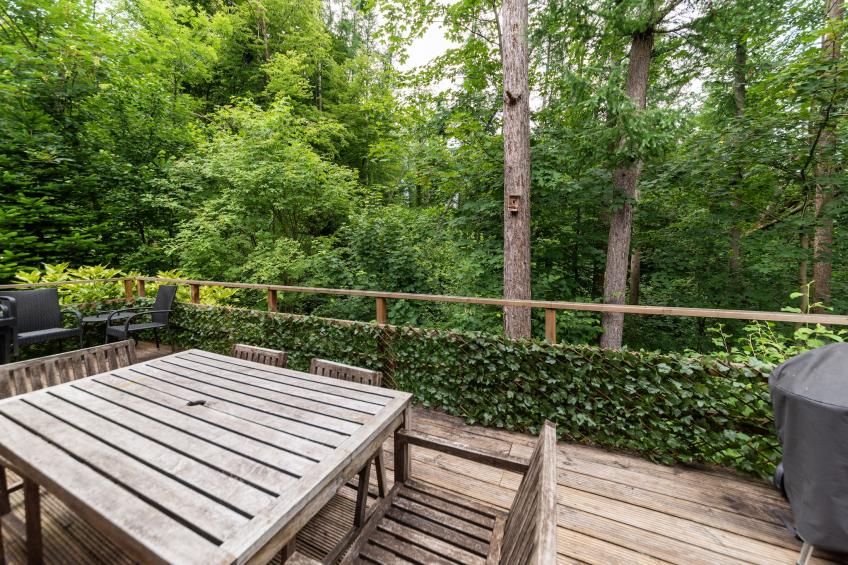 Ecarlate 27 - foto 32