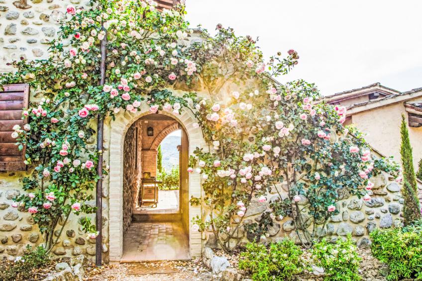 Agriturismo Belvedere delle Crete - foto 35