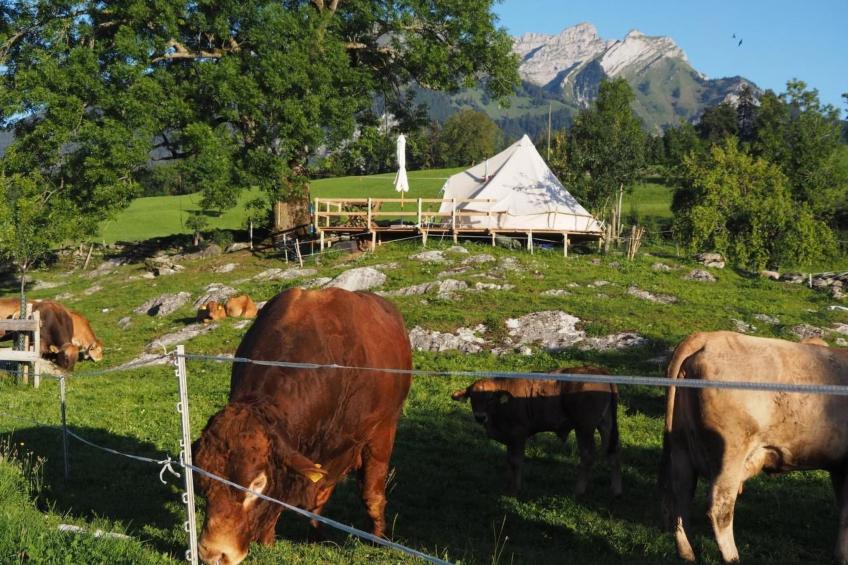 Zeltferien Into the Wäid "Panoramazelt" - foto 14