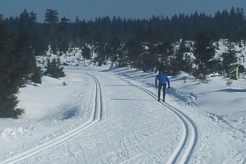 Fewo "Kranichsee WGH - foto 14