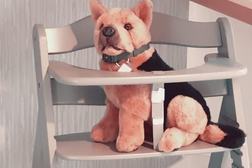 in Mellnitz mit Großem Garten - foto 19