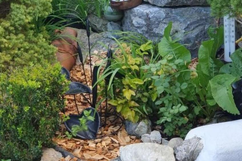 Black & White - foto 11