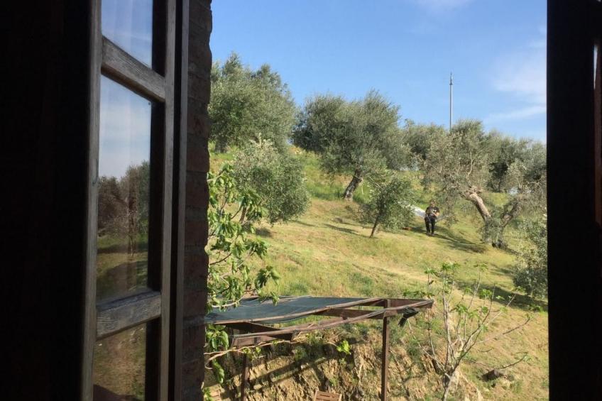 Renovierte Wohnung - foto 12