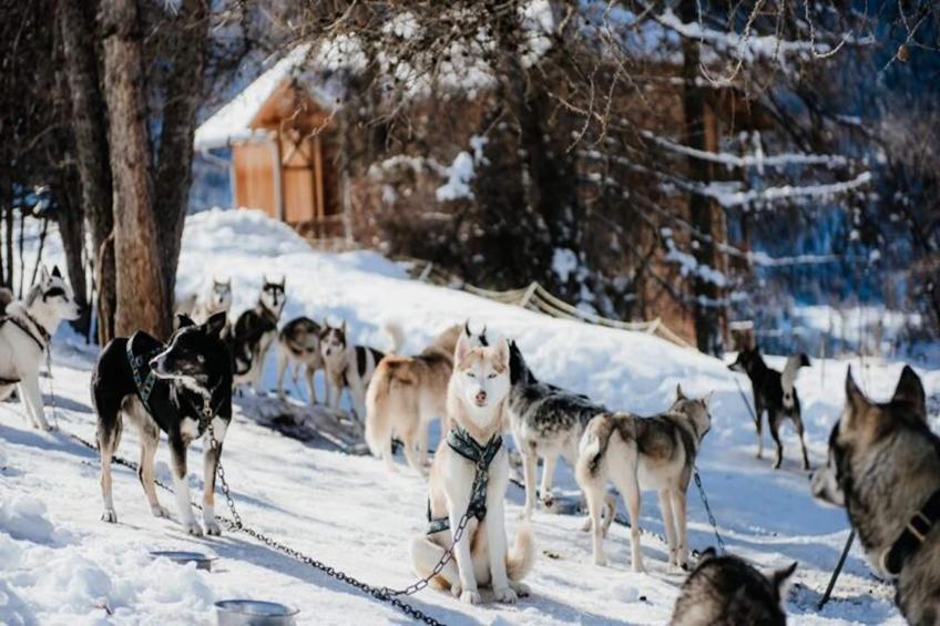 Résidence Les Logis d'Orres - foto 10