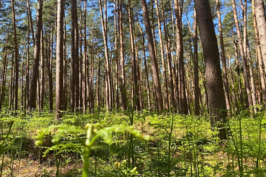 vakantiehuis, Fuhlendorf - foto 34