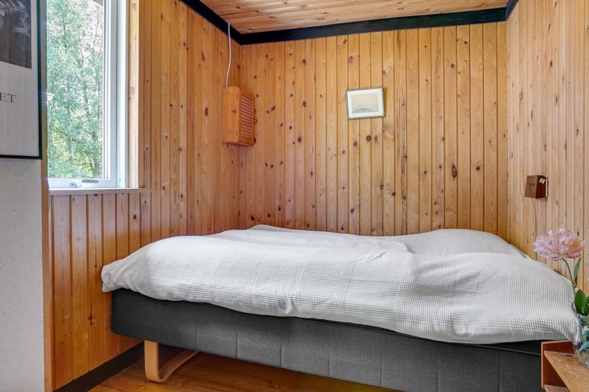 "Lennert" - 100m to the inlet in The Liim Fiord - foto 16