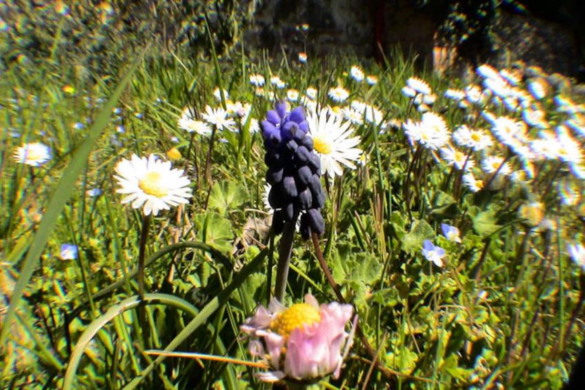 Lou Penequet, Mas Typique Avec Piscine En Provence, Nature, Calme - foto 18