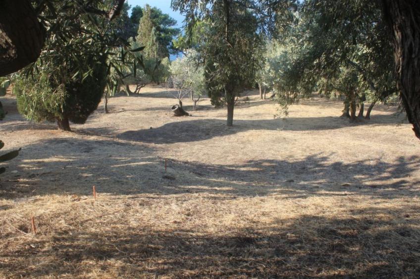 'Villa Lia' mit Wasserblick - foto 29