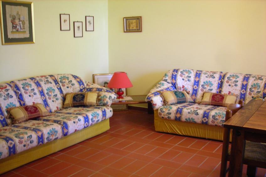 Olivo - foto 38