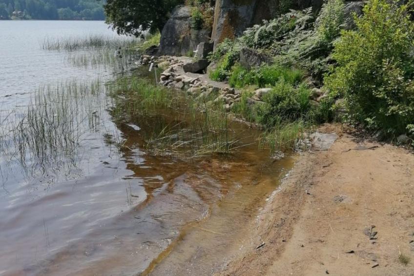 Schwedisches Glück, zwischen Wäldern und einem See - foto 40